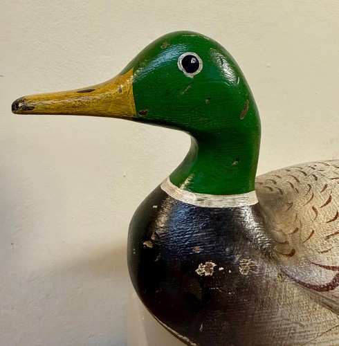 Vintage solid body mallard - solid,