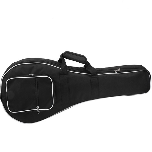 Mandolin case gig - case,