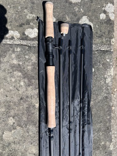 Switch fly rod and line - fly,