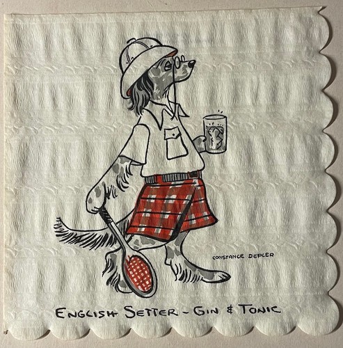 Dog english setter - english,