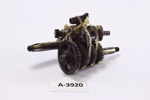 Agusta 125 1959 - 1959, model