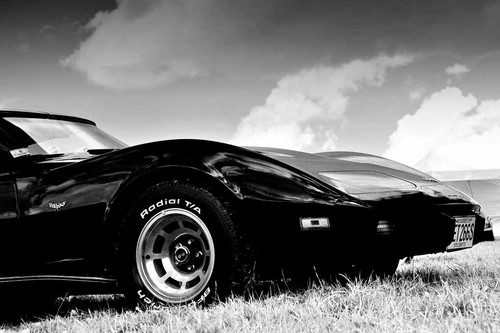 Chevrolet corvette stingray - corvette,