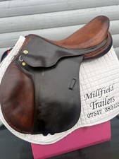 Brown/Tan prestige Appaloosa