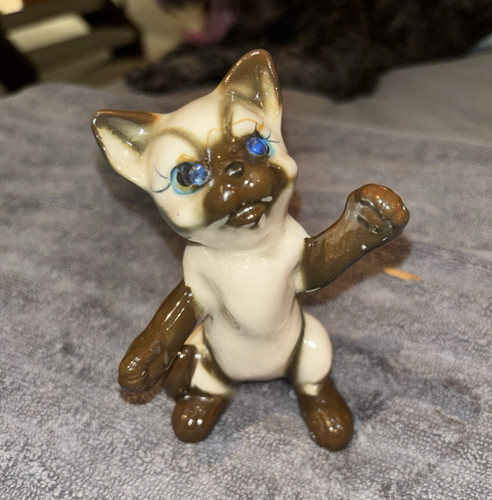 Blue eyed siamese - style, cat