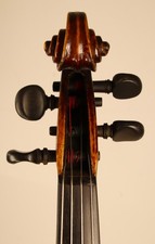 Beautiful violin English 