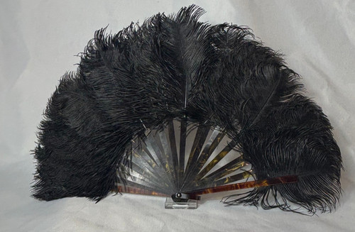 1910 1920 black - 1910-1920, ostrich