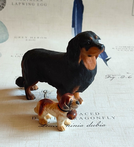 Dog ornaments dachshund st - dog,