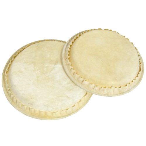 World rhythm bongo drum - world,