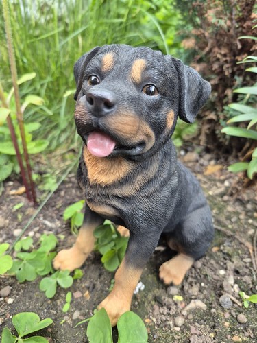 Rottweiler dog garden ornament - dog,