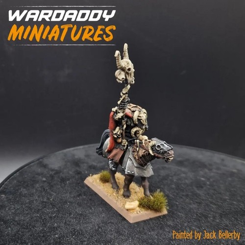 Pro painted warhammer fantasy - warhammer,