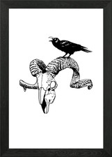 Goat skull Framed Wall Art