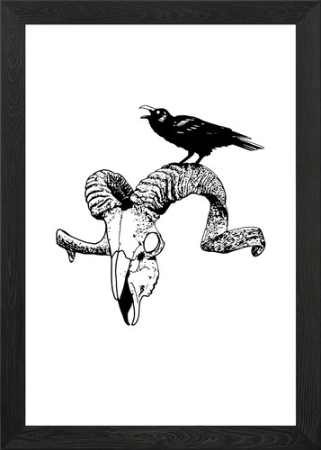 Goat skull framed - skull, wall