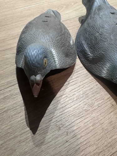 Pigeon decoys 4 - pigeon, x