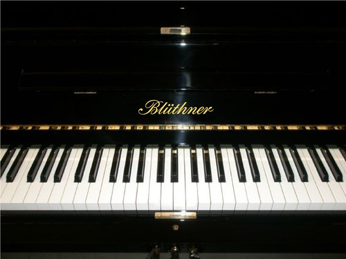 Bluthner metallic gold piano - bluthner,
