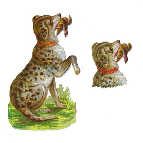 1888 chromo decoupis - chromo,