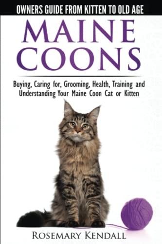 Maine coon cats the owners - coon,