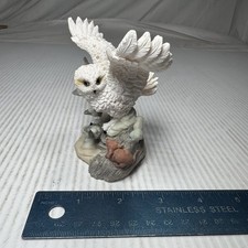 White Barn Snow Owl with Out