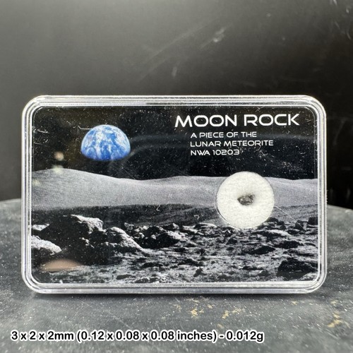 Genuine lunar meteorite - ,