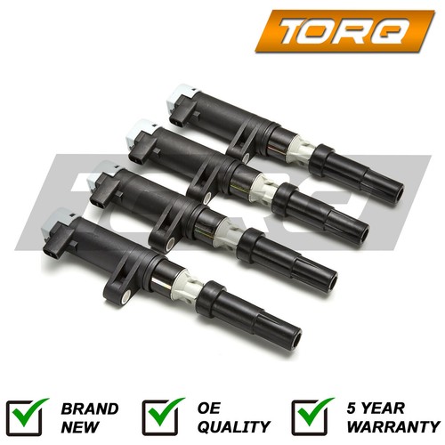 Torq for renault twingo - torq, 4x