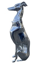 Whippet Sitting Greyhound