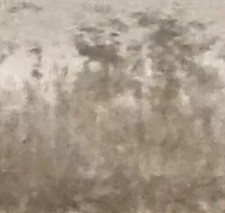 18 Inch cushion cover in Laura