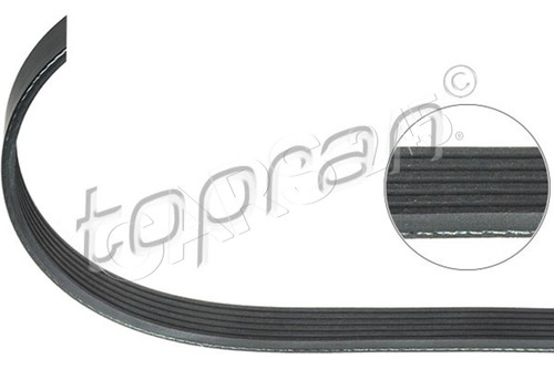 Ribbed belt for citroen - v-ribbed,