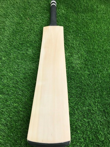 English willow cricket - english,