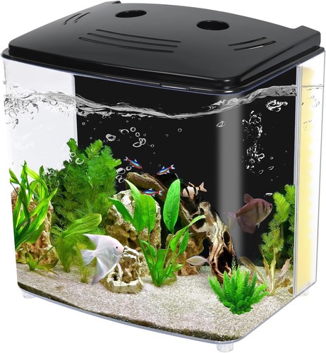 Nano aquarium fish - nano, tank