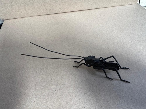 Bronze black field cricket - bronze,