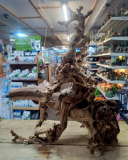 Gnarly Scapers Wood Aquarium