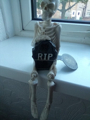 Halloween skeleton shelf - skeleton,