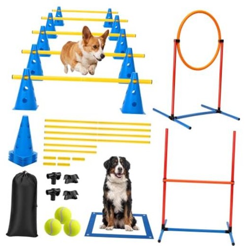 Pcs dog agility course - pcs,