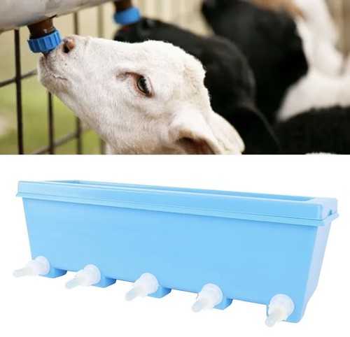 Piglets feeder goat milk - piglets,