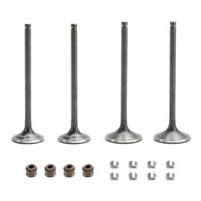 Intake & Exhaust Valves w/