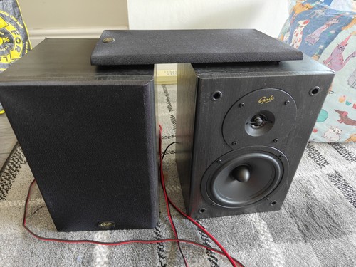Gale silver monitor - gale,