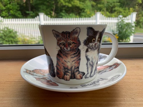 Roy kirkham cats home - kirkham, at