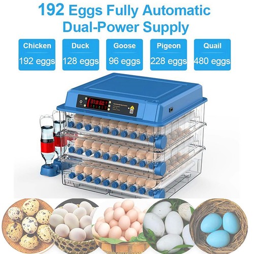 192 egg fully - 192, automatic