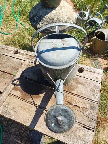 Vintage galvanized gallon - galvanized, 1.5