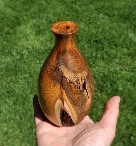 Reclaimed pacific yew vase - yew,