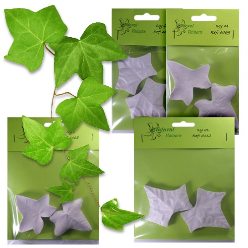 Leaf veiner mould ivy - leaf,