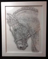 Original Horse Portrait. Ink