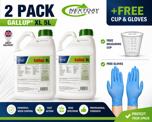 Gallup xl professional - 2,