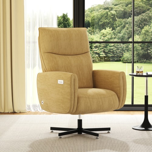 Electric power recliner - electric,