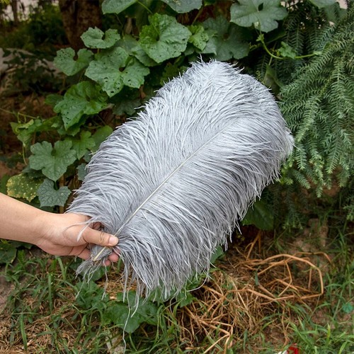 30cm large ostrich feathers - 25-30cm,