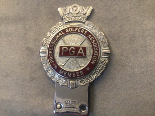 Professional golfers - professional,
