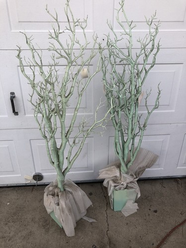 Manzanita tree centerpiece - manzanita, lot