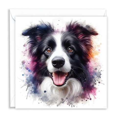 Border collie dog watercolour - dog,
