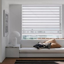 Premium zebra vision - zebra,