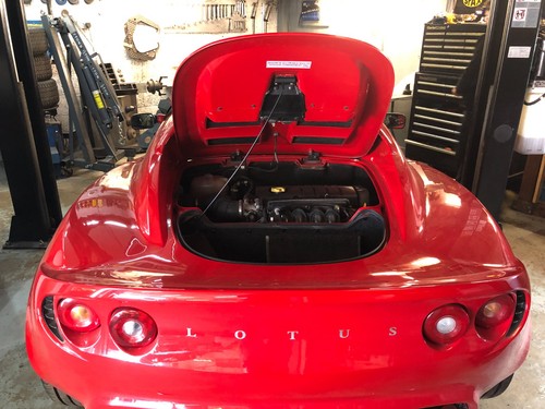 Lotus elise clam - lotus,