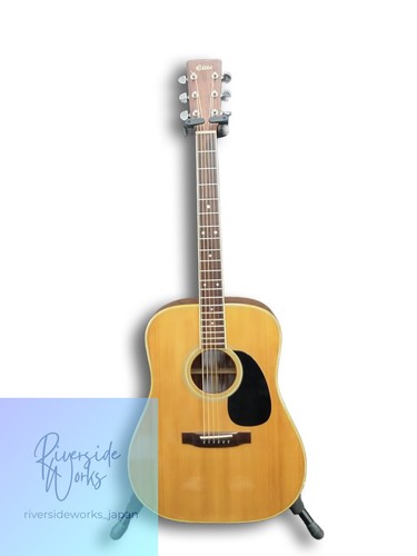 Takamine acoustic guitar elite - takamine,